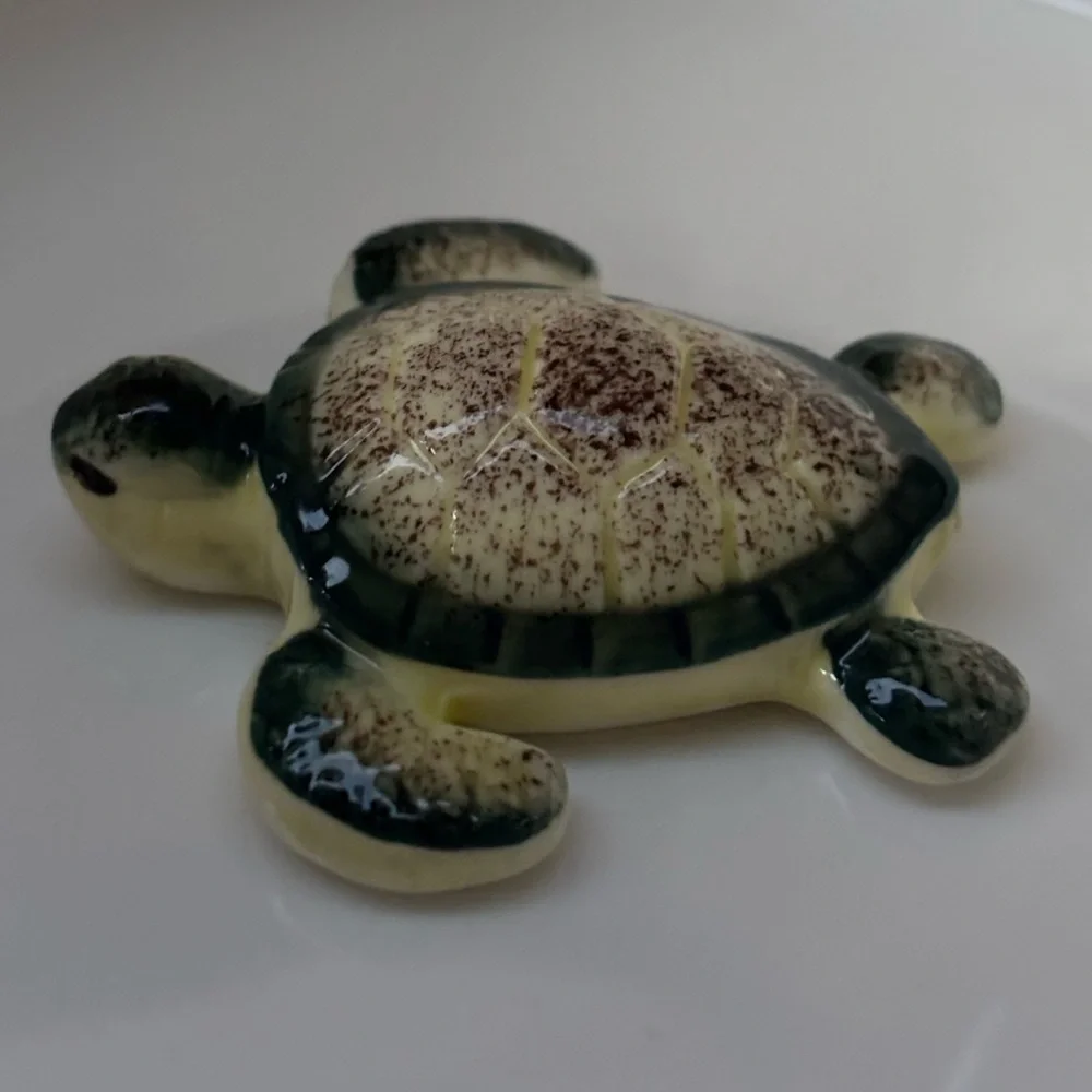 Honest Goods 3D Green Sea Turtle Pet Water Bowl 6 1/4”W